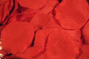 1000 PALM BEACH CORAL COLOR ROSE PETALS~WEDDING FAVORS  