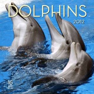 2012 Dolphins Wall calendar by Moseley Road Inc. ( Calendar   Sept 