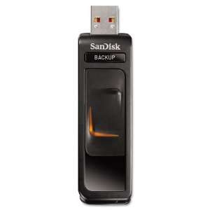  Flash Drive 32GB With Encryption / Password Protection: Electronics