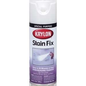   Krylon 12oz Satin Interior Exterior Stain Fix Spray: Home Improvement