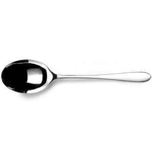  Pride Stainless Steel Serving Spoon: Kitchen & Dining