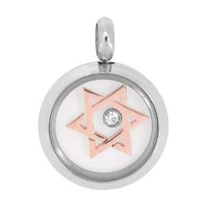   Stainless Steel Dual Tone Star of David cz Solitaire Circular Pendant
