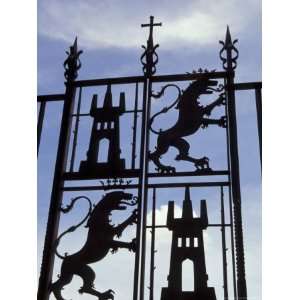 Decorative Wrought Iron Gate of Alcazar, Cordoba, Spain Stretched 