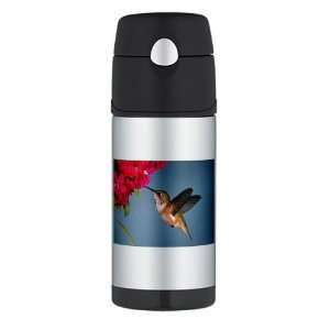   Thermos Travel Water Bottle Female Rufous Hummingbird: Everything Else
