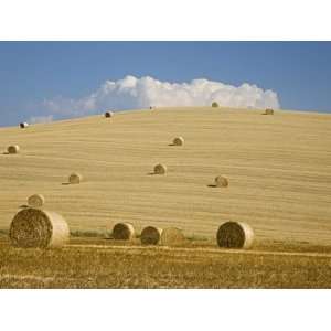  Italy, Tuscany, Bales of straw on corn fields Photographic 