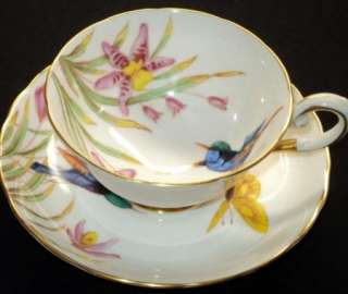 Tuscan PAINTED ROBIN Ultimate BIRD simplytclub cup and saucer  