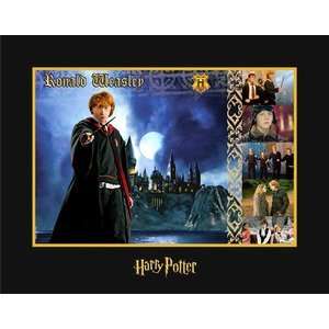 Ron Weasley The Witches and Wizards of Harry Potter Collection Limited 