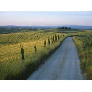 Sunset View of a Gravel Road Winding Through the Tuscan Countryside 