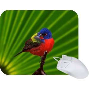  Rikki Knight Colored Bird on Green Background Mouse Pad 