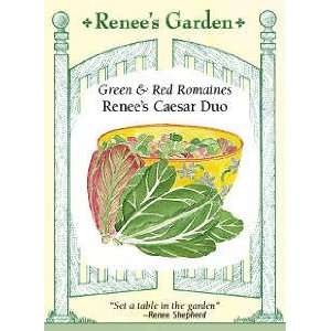  Lettuce Romaine Seeds   Caesers Duo Patio, Lawn & Garden