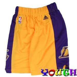 Los Angeles Lakers Toddler Replica Shorts (Gold):  Sports 