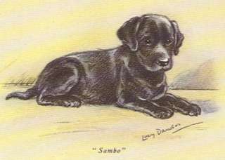Labrador Retriever Puppy   MATTED Dog Print Lucy Dawson  