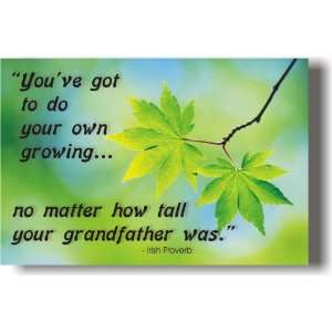  Youve Got To Do Your Own Growing No Matter How Tall Your 