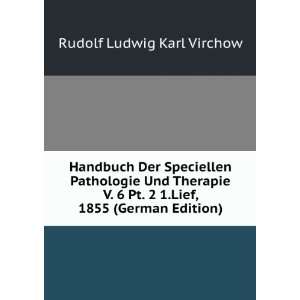   Volume 6,&Part 2 (German Edition) Rudolf Ludwig Karl Virchow Books