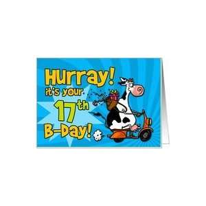  Hurray! its your 17th birthday Card: Toys & Games