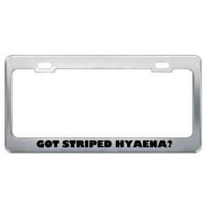  Got Striped Hyaena? Animals Pets Metal License Plate Frame 