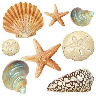  Beach Decor Sea Shell Bathroom Accessories By Collections 
