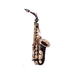  E.M. Winston 503JB Alto Saxophone Musical Instruments