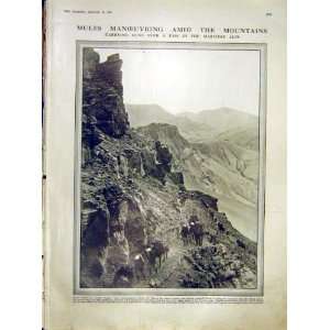  Mules Manoeuvres Guns Maritime Alps French Print 1912 