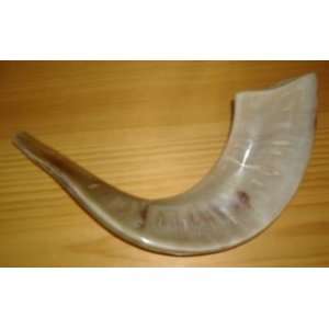   Rams Horn, Natural Rams Horn for Jewish Holidays: Everything Else