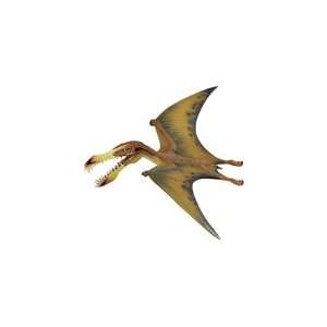  Pterosaur (Wild Safari) Toys & Games