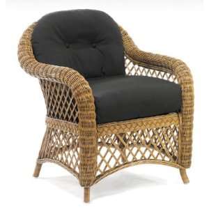   S241551, Protected Outdoor Wicker /Cushion Party Chair: Home & Kitchen