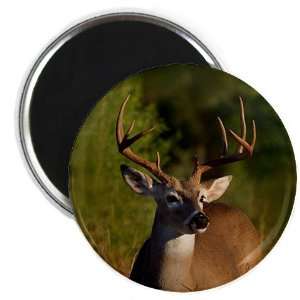 Beautiful DEER Buck with Antlers 2.25 inch Fridge Magnet 