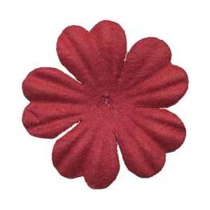   Bazzill Paper Flowers   Kisses Primula 1 10/Pkg Arts, Crafts & Sewing