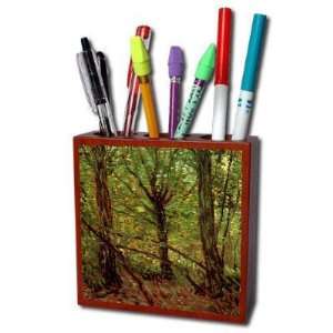  Trees and Undergrowth 2 By Vincent Van Gogh Pencil Holder 