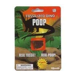 Fossilized Dino Poop Coprolite Dino Dung Set of 3  