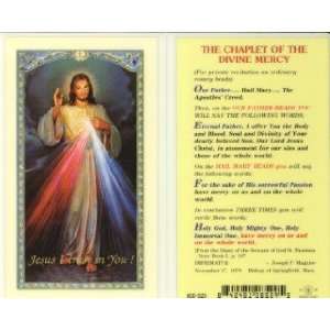  Chaplet of the Divine Mercy Holy Card (800 529) Kitchen 