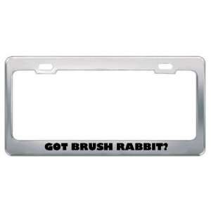 Got Brush Rabbit? Animals Pets Metal License Plate Frame Holder Border 