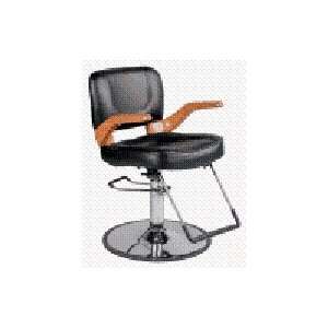  Salon Styling Chair (Black): Beauty