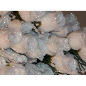   rose /dew drops,Wedding flowers,Bridal,Floral decor
