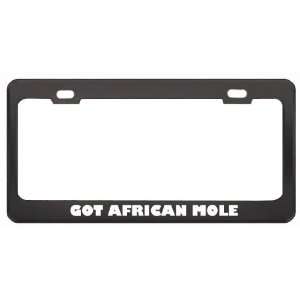 Got African Mole Lemming? Animals Pets Black Metal License Plate Frame 