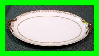 14 GDA France Haviland Limoges Platter vintage china  