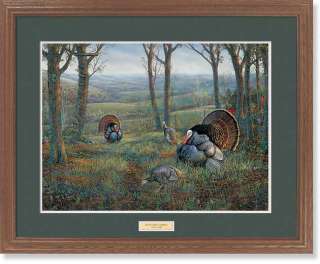 Sam Timm Rut and Strut Turkey Framed Print  