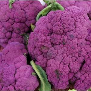  Purple of Sicily Cauliflower Seeds