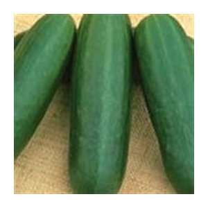   Marketmore Cucumber   1/8oz. Bulk Vegetable Seed Patio, Lawn & Garden