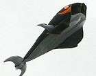 parafoil kite  