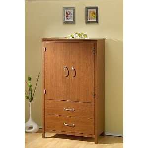  Transitional Style Autumn Cherry Finish Door Chest: Home 