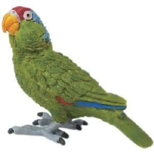  Wild Safari Green Cheeked  Parrot Toys & Games