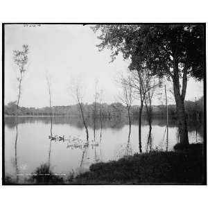 The Lake,Como Park,St. Paul,Minn. 