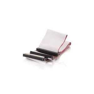  Cables To Go Dual IDE Drive Flat Ribbon Cable: Office 