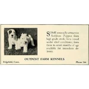   Dog Breeder Ridgefield Connecticut   Original Print Ad: Home & Kitchen