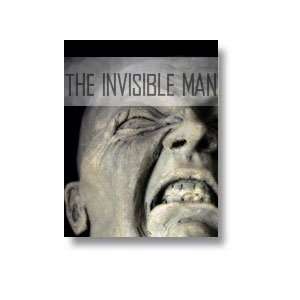   Invisible Man (Audiofy Digital Audiobook Chips) (9781599128153): Books