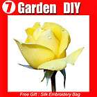 20 seed china s yellow rose see yellow lover elves