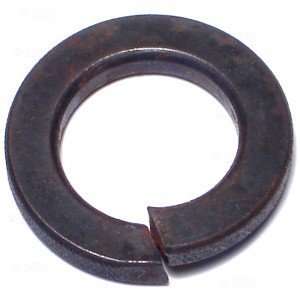  16mm Class 10 Lock Washer (10 pieces)