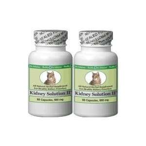  Healthy Pet Solutions Feline Kidney Solution II 2 Bottles 
