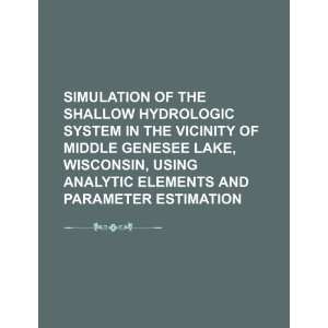  Simulation of the shallow hydrologic system in the 